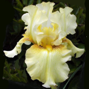 Echo Location --pots